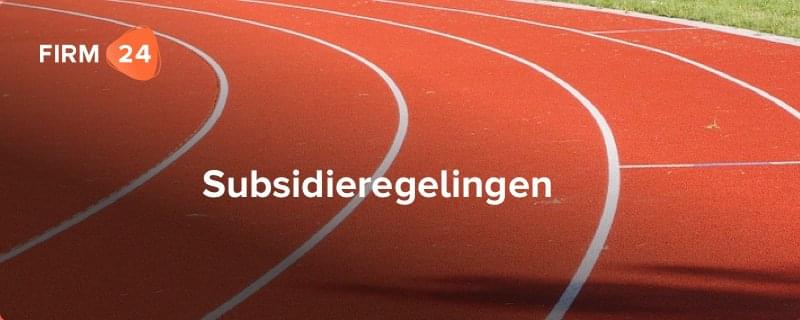 Op welke subsidies kan ik aanspraak maken als startende ondernemer?